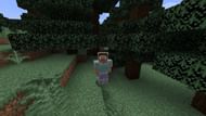 Steve wearing chainmail armor (Image via Minecraft)